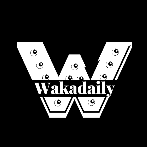 WakaDaily logo